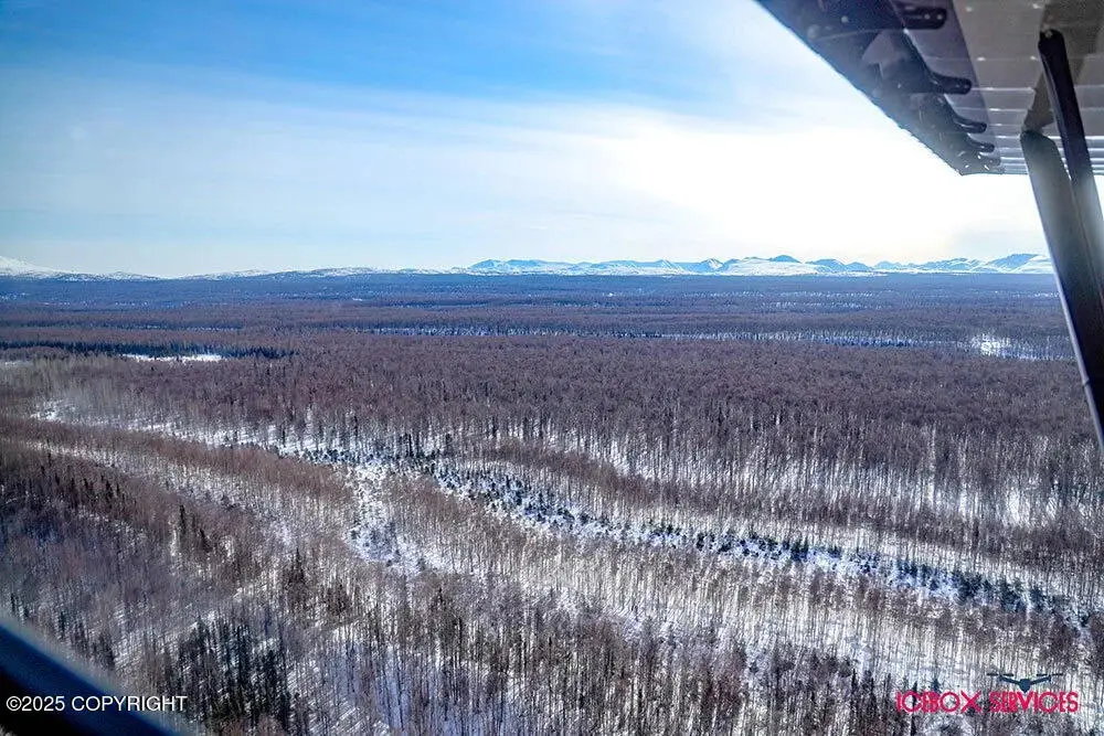 20801 E Baruch Loop, Talkeetna, AK 99676 - Image #1