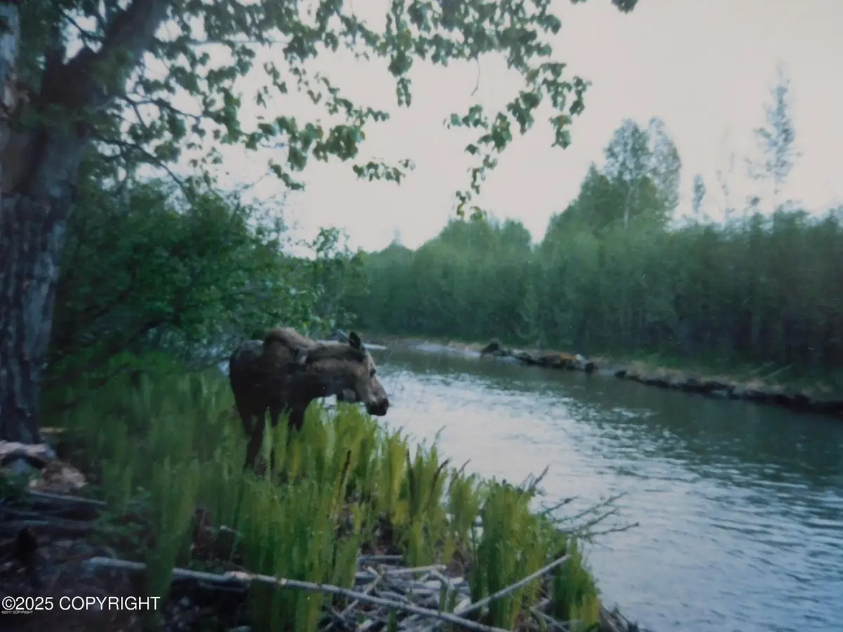 L3-1 Chase 2, Talkeetna, AK 99676 - Image #1