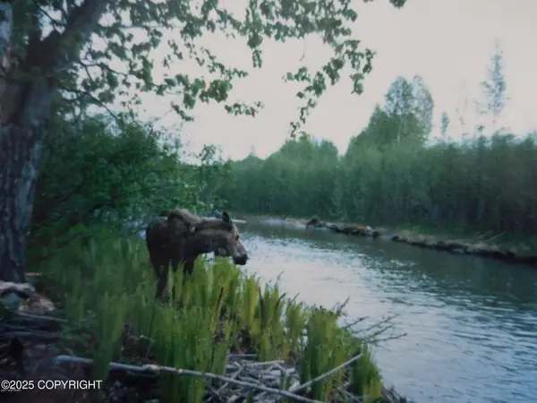 L3-1 Chase 2, Talkeetna, AK 99676