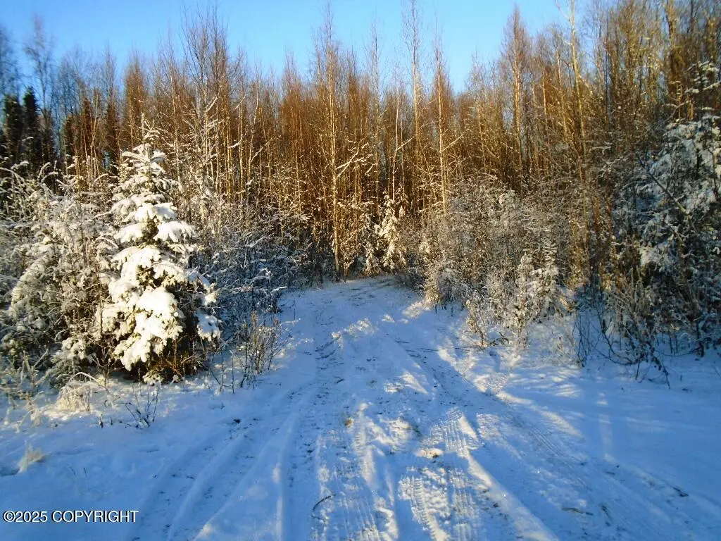 L1 W Shearwater Street, Wasilla, AK 99623 - Image #1
