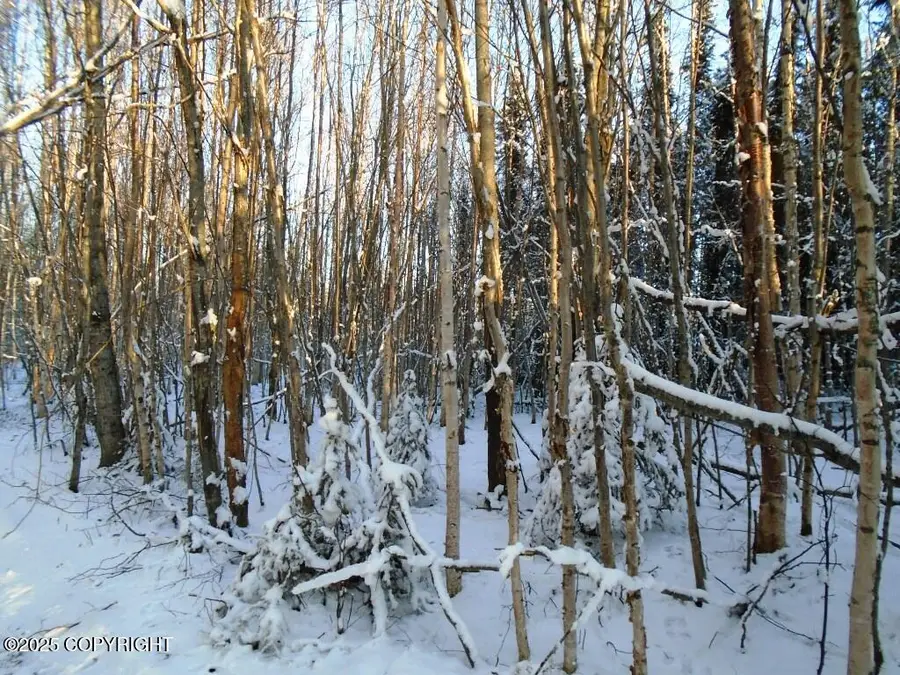 L2 W Shearwater Street, Wasilla, AK 99623 - Image #3