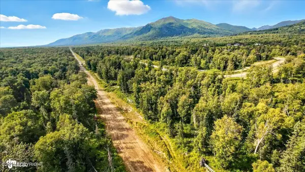 9541 E Hatcher Landing Avenue, Palmer, AK 99645