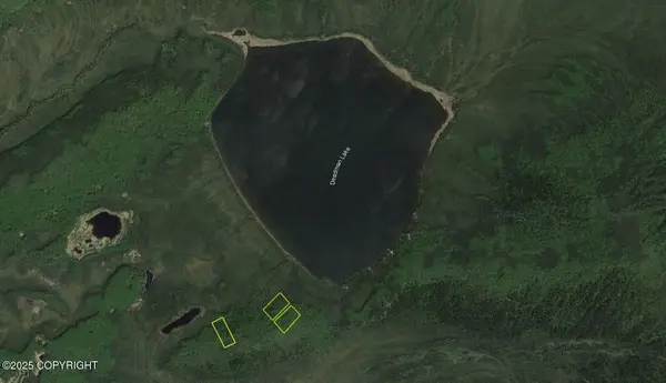 L2 B8 Deadman Lake (no Road), Manley Hot Springs, AK 99756