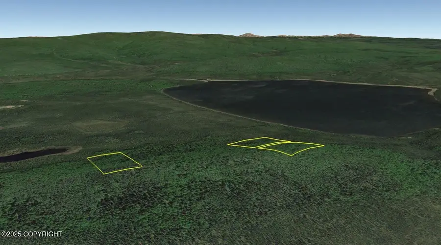 L6 B8 Deadman Lake (no Road), Manley Hot Springs, AK 99756 - Image #3