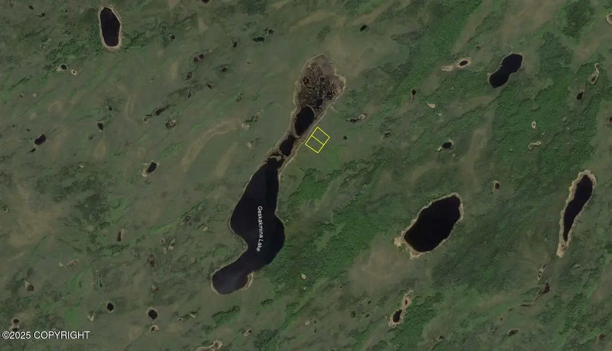 L8 B2 Geskakmina Lake (no Road), Manley Hot Springs, AK 99756 - Image #1