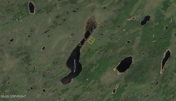 L9 B2 Geskakmina Lake (no Road), Manley Hot Springs, AK 99756