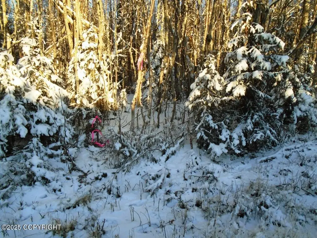 6661 S Lark Circle, Wasilla, AK 99654 - Image #1