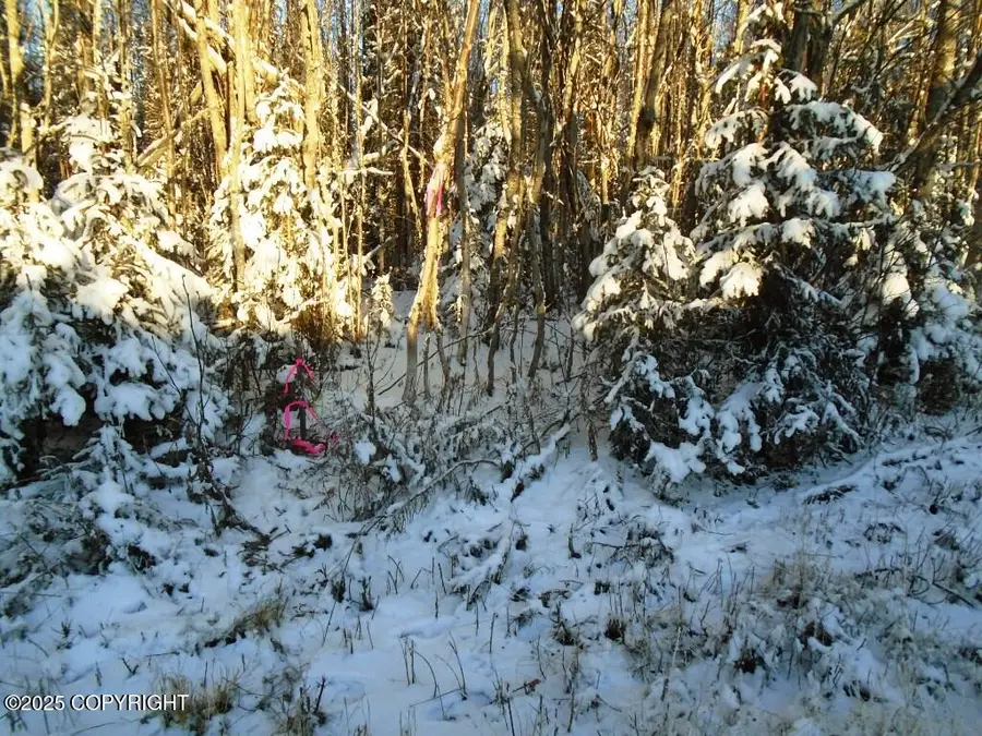 6661 S Lark Circle, Wasilla, AK 99654 - Image #3