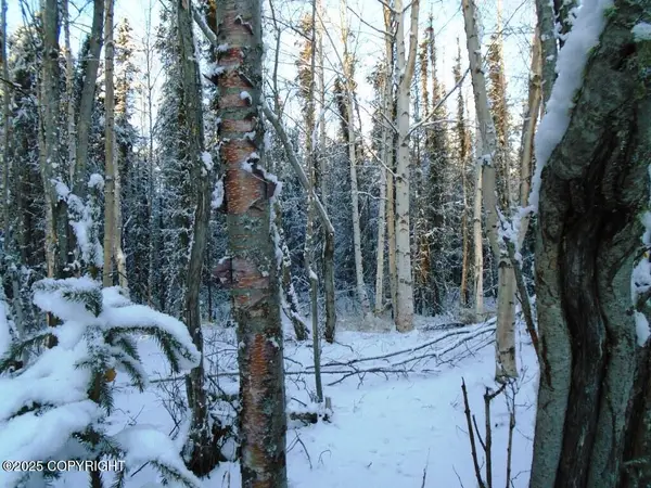 6671 S Lark Circle, Wasilla, AK 99654