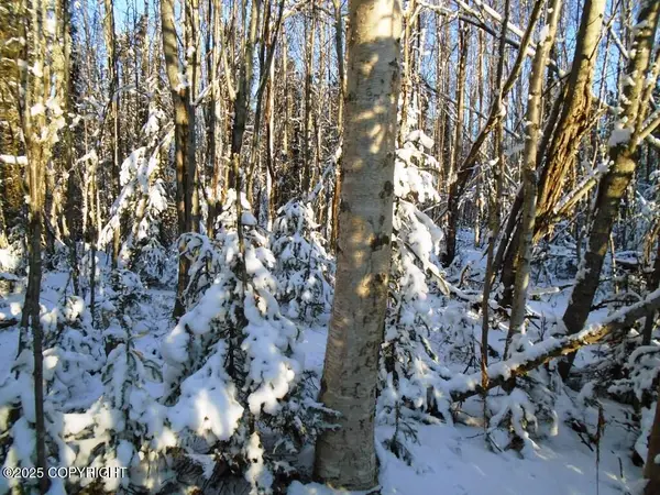 6677 S Lark Circle, Wasilla, AK 99654