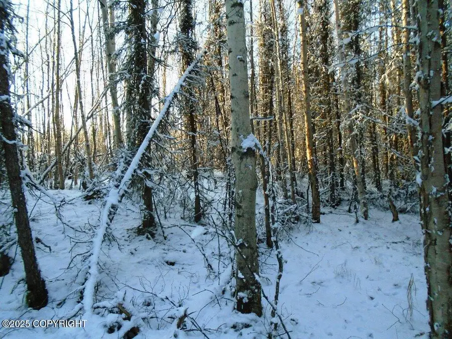 6703 S Lark Circle, Wasilla, AK 99654 - Image #2