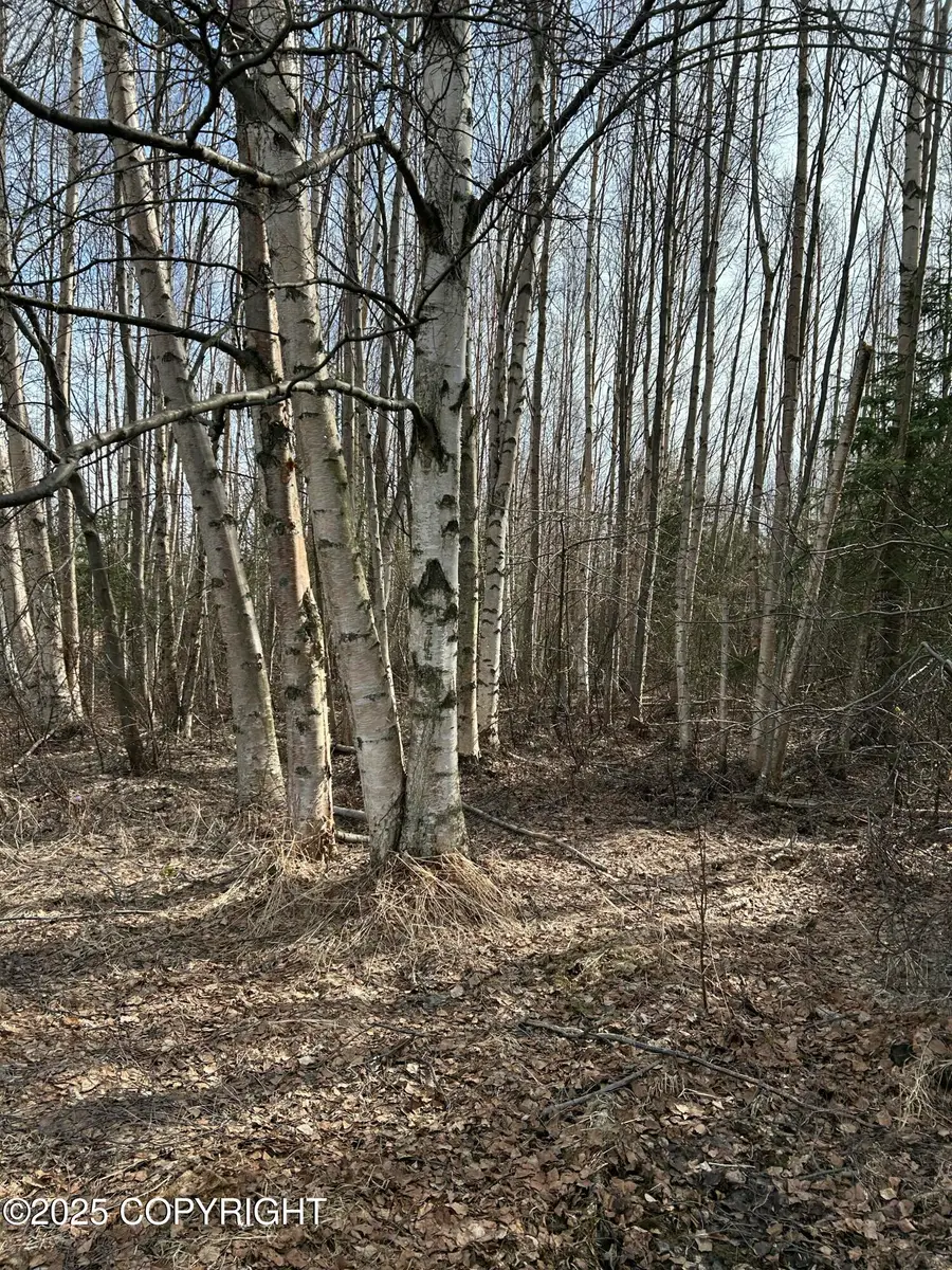 #3