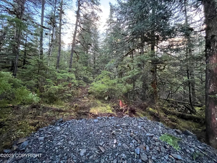421 Mitkof Highway, Petersburg, AK 99833 - Image #3