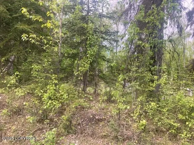 #3