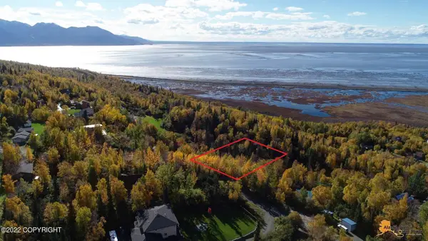 L9 Feodosia Drive, Anchorage, AK 99516