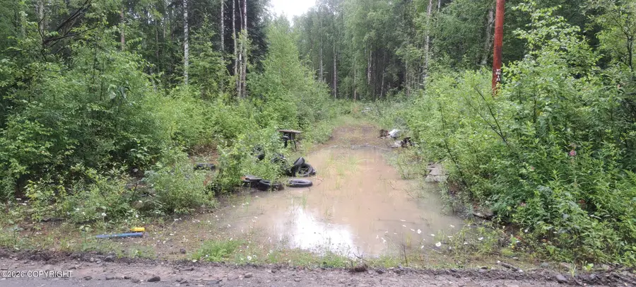 32687 S Mt Hunter, Talkeetna, AK 99676 - #2