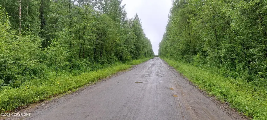 32687 S Mt Hunter, Talkeetna, AK 99676 - #3
