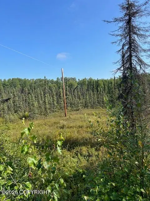 7833 S Irish Lane, Big Lake, AK 99652