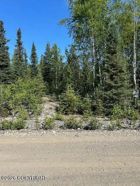 21247 W Dublin Court, Big Lake, AK 99652