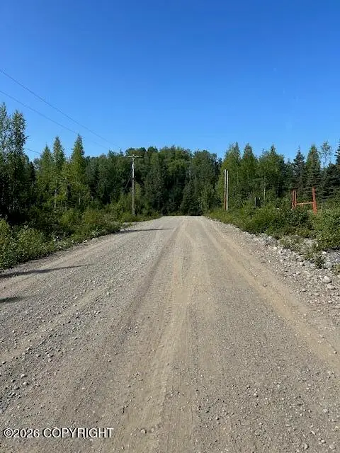 21247 W Dublin Court, Big Lake, AK 99652 - #2