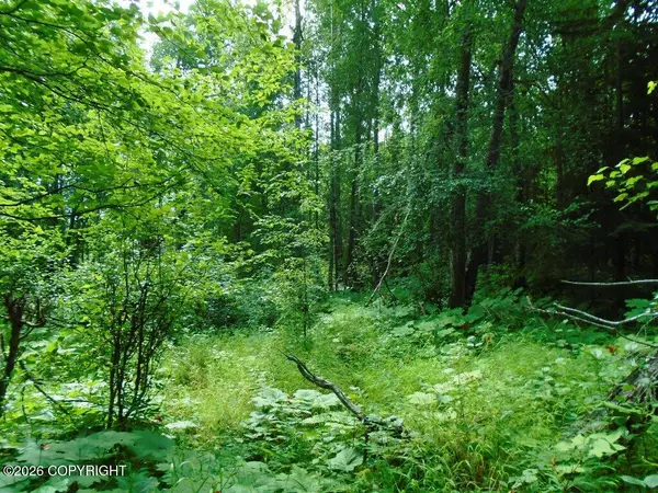 15032 W Necrason Drive, Big Lake, AK 99652