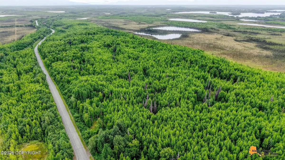 18532 W Lakes Boulevard, Big Lake, AK 99652 - #1