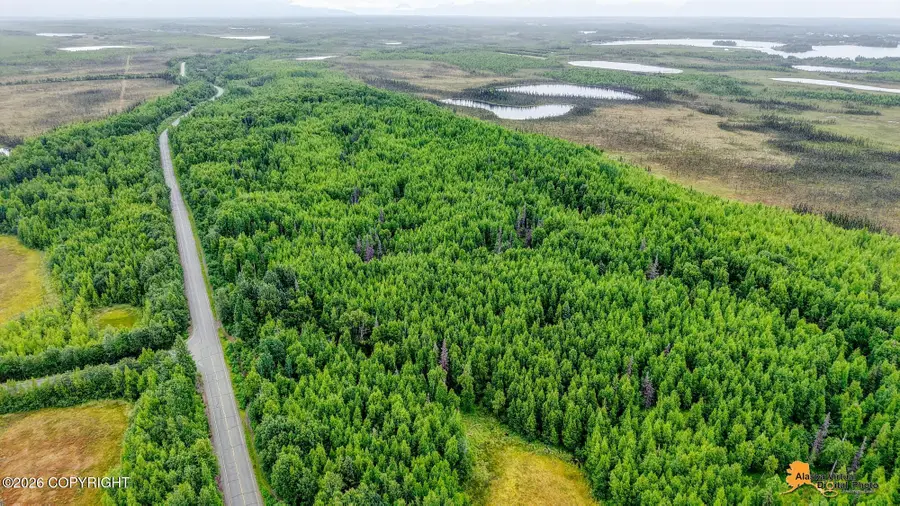 18590 W Lakes Boulevard, Big Lake, AK 99652 - #3