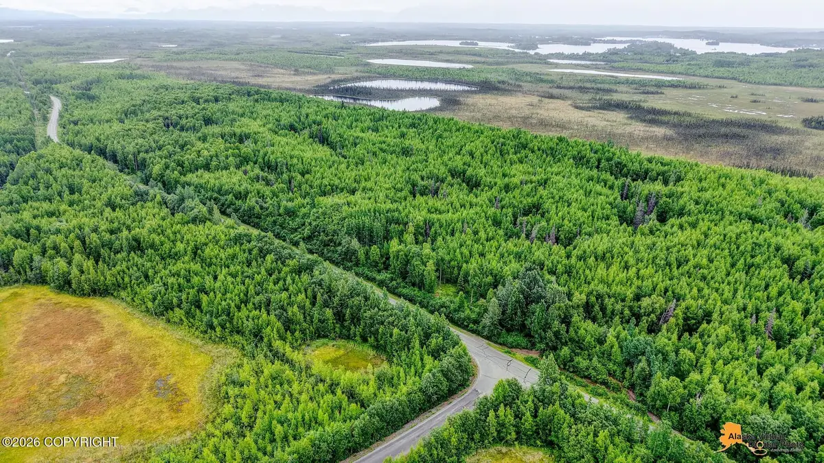 18644 W Lakes Boulevard, Big Lake, AK 99652 - #1