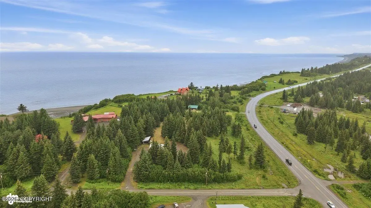 32625 Shorebird Lane, Anchor Point, AK 99556 - #1