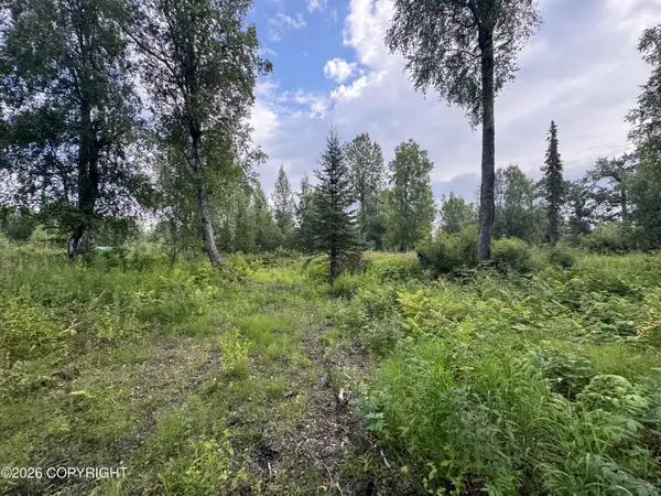11360 E Wolf Trail, Trapper Creek, AK 99683