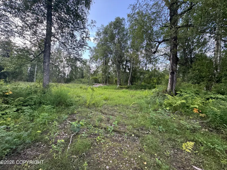 11360 E Wolf Trail, Trapper Creek, AK 99683 - #2