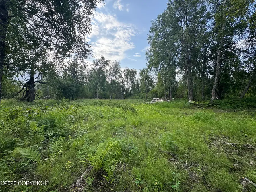 11360 E Wolf Trail, Trapper Creek, AK 99683 - #3
