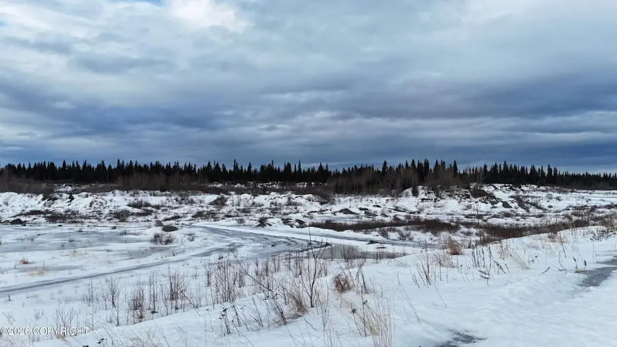 L7 Brow Tine Road, Anchor Point, AK 99556 - #2
