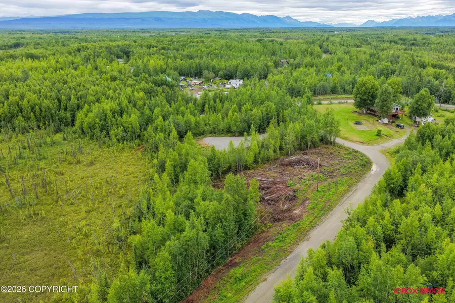 14607 W Lazy Circle, Big Lake, AK 99652 - #2
