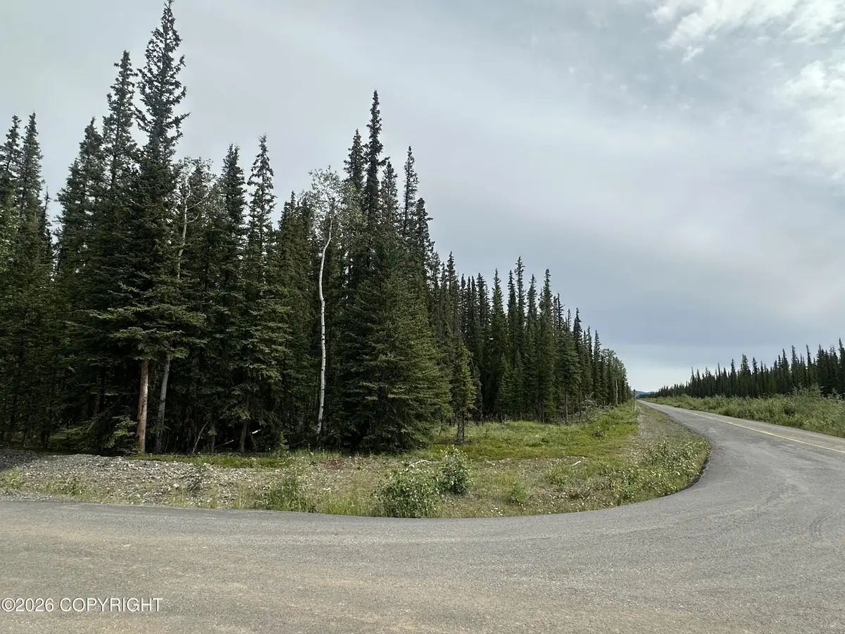 L1 B7 Borealis & Mackenzie Road, Tok, AK 99780 - #1