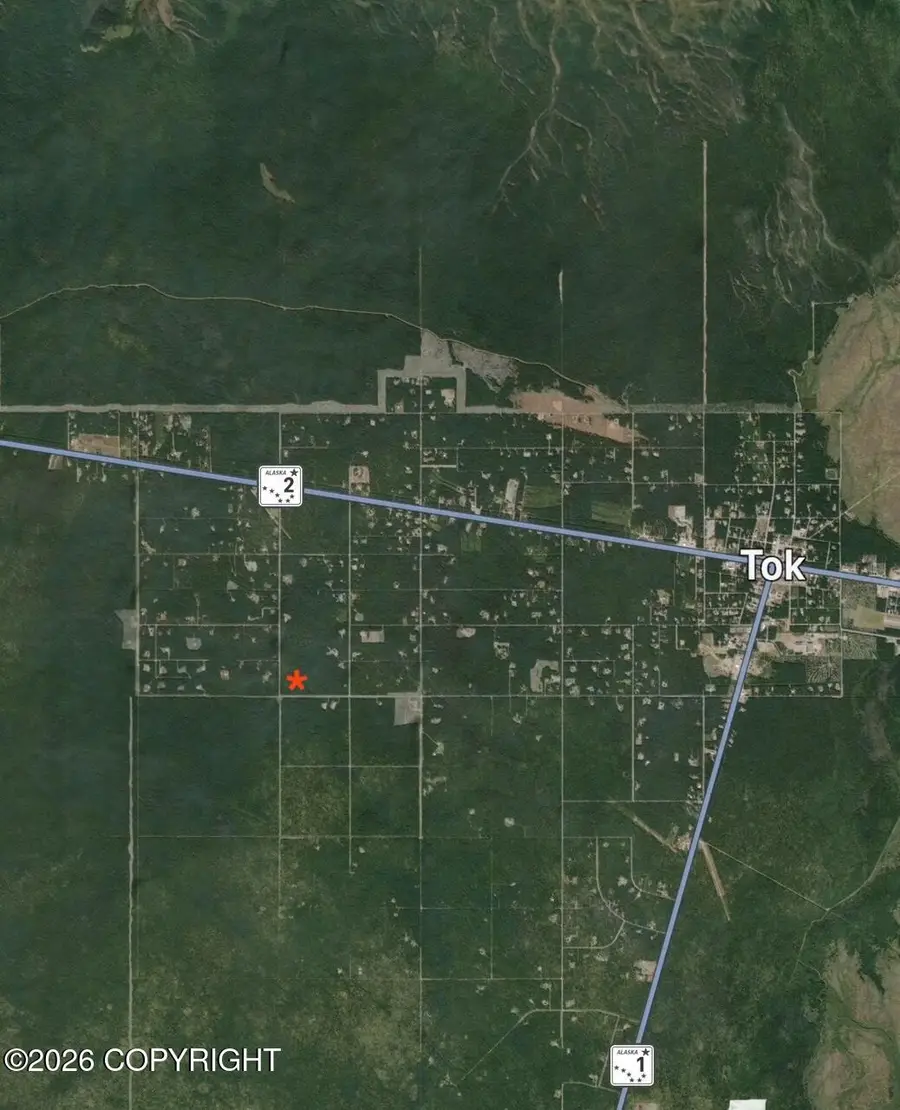 L1 B7 Borealis & Mackenzie Road, Tok, AK 99780 - #3
