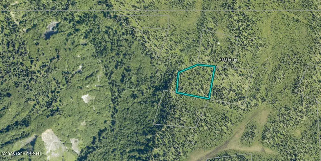 0 Fox Creek, Homer, AK 99603 - #1