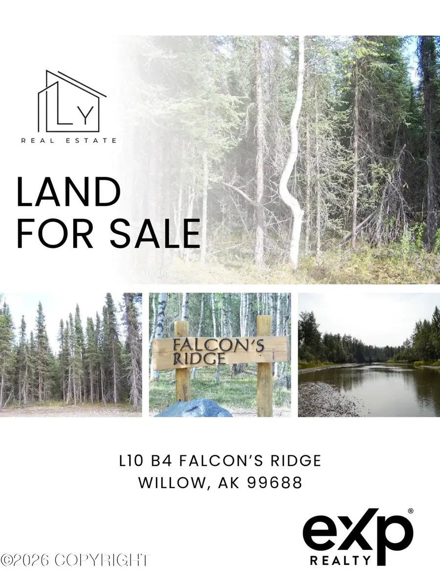 L10 B4 Falcon's Ridge, Willow, AK 99688 - #2