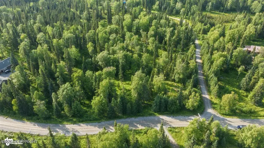 53330 Stol Road, Clam Gulch, AK 99568 - #3