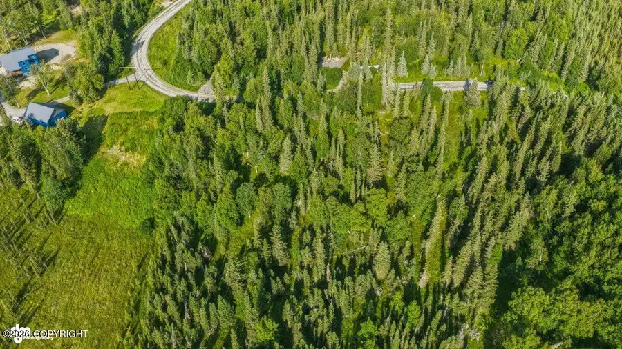 53888 Stol Road, Clam Gulch, AK 99568 - #3