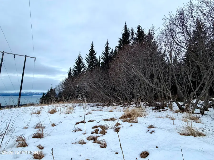 500 Paintbrush Court, Homer, AK 99603 - #2