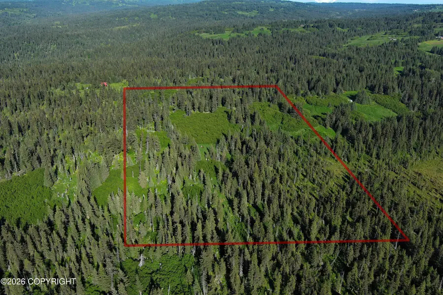 L 22 Kachemak Bay, Homer, AK 99603 - #3
