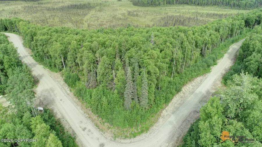 NHN W Tuxedo Avenue, Willow, AK 99688 - #2
