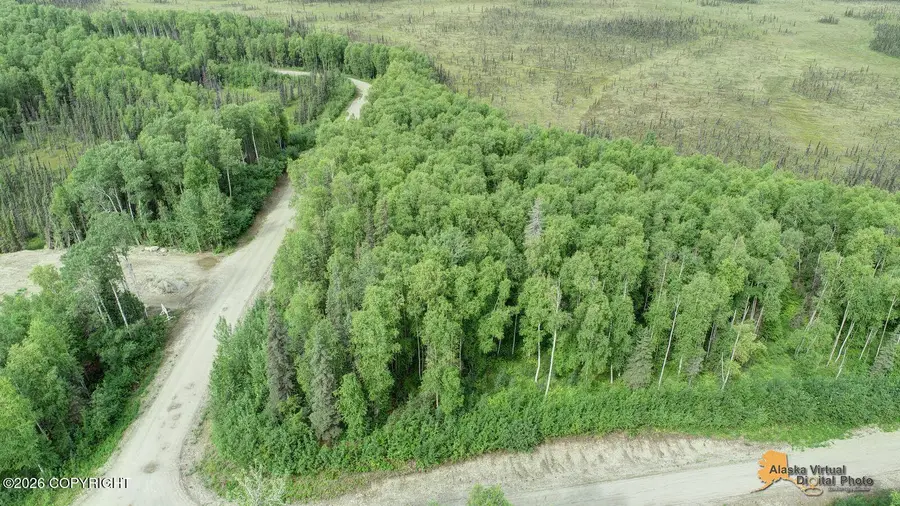 NHN W Tuxedo Avenue, Willow, AK 99688 - #3