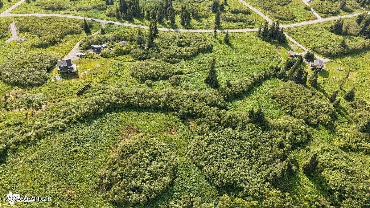 38508 Mossberg Drive, Homer, AK 99603 - #1