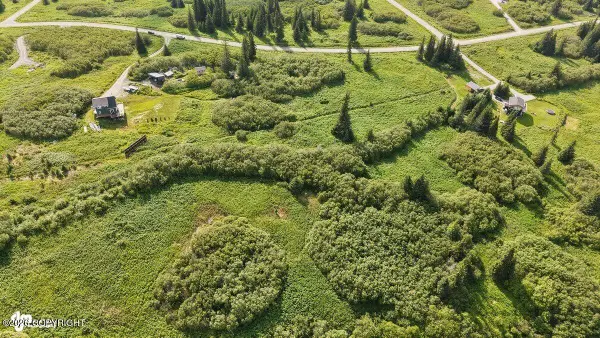 38508 Mossberg Drive, Homer, AK 99603