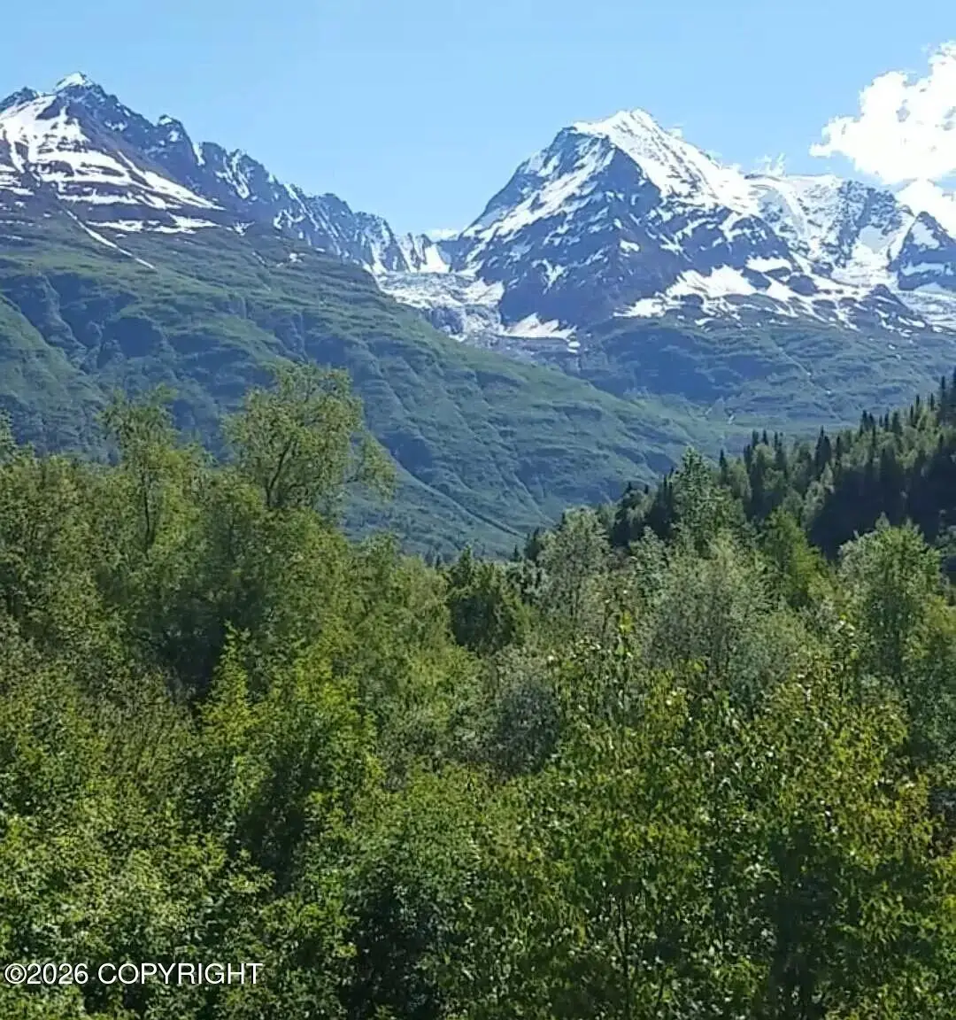 remote No Street, Valdez, AK 99686 - #1
