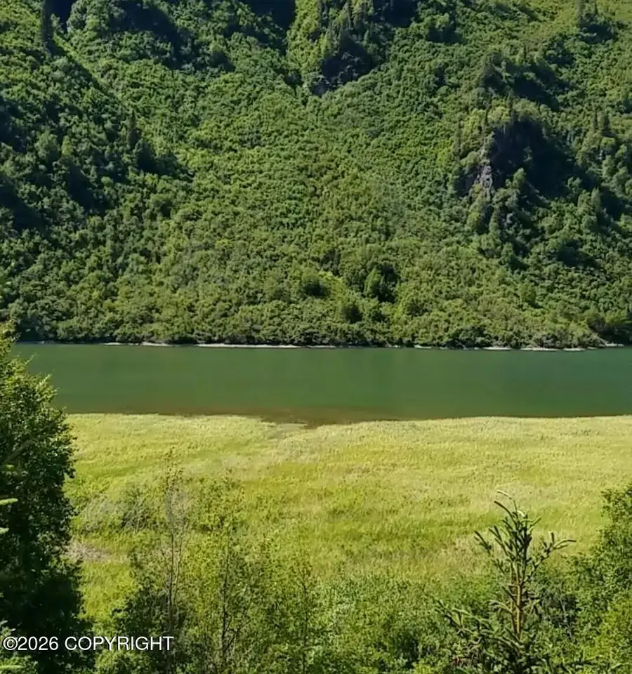 remote No Street, Valdez, AK 99686 - #3