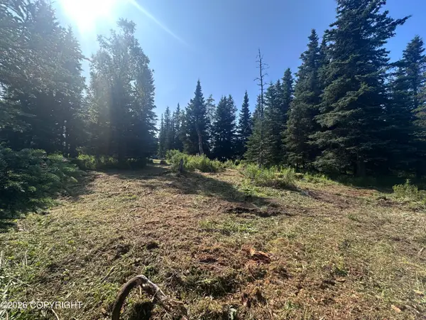 69272 Royce Drive, Anchor Point, AK 99556