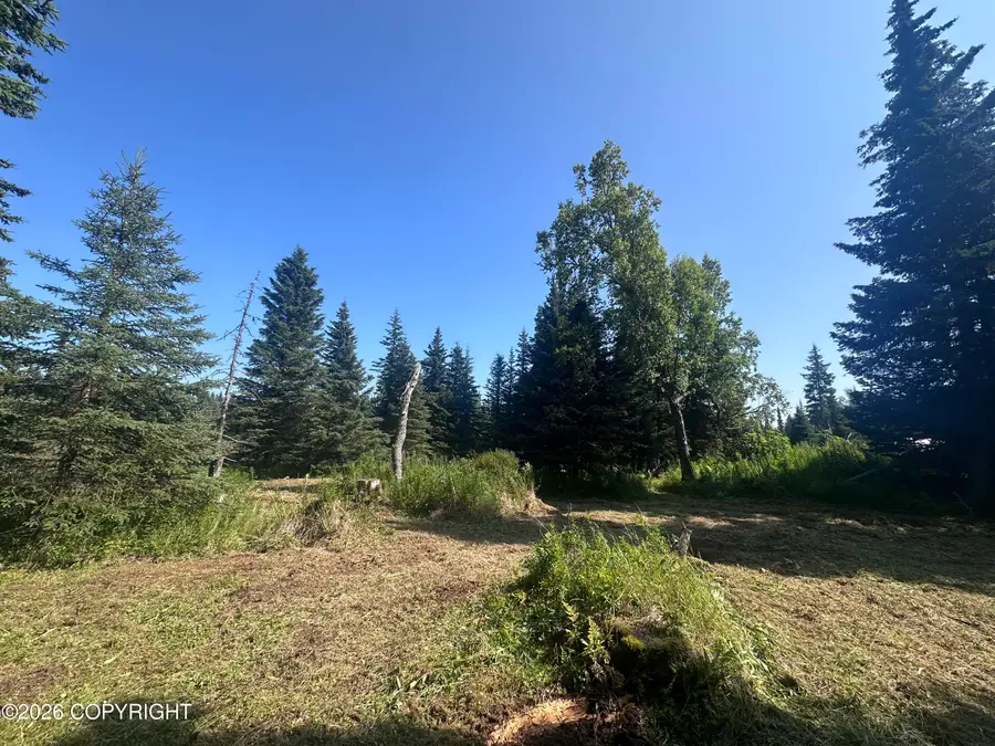 69272 Royce Drive, Anchor Point, AK 99556 - #2
